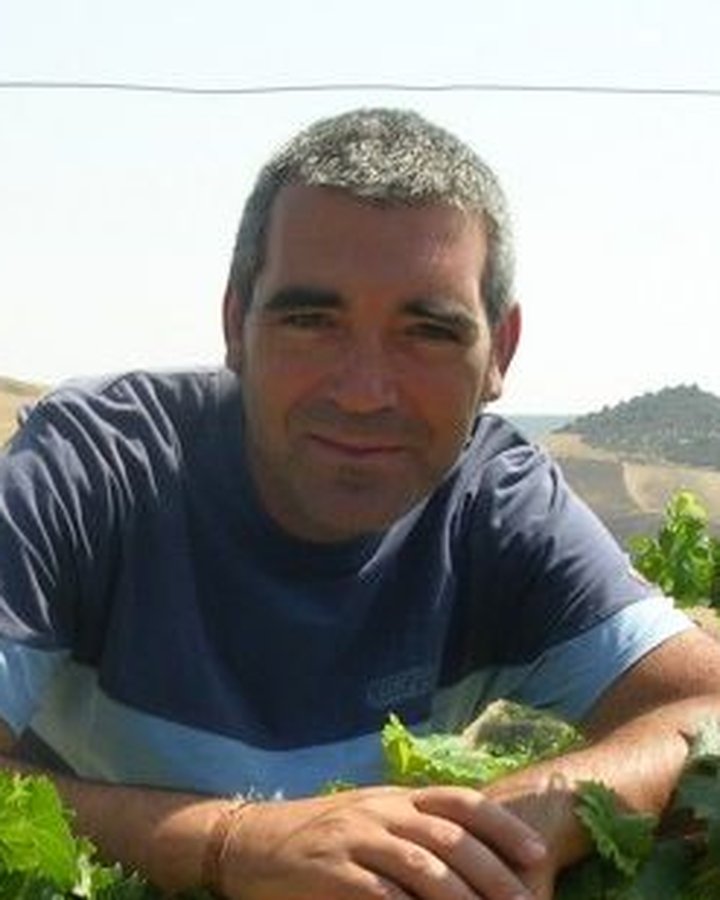 Portrait of Azienda Agrícola Lamoresca, Sicily