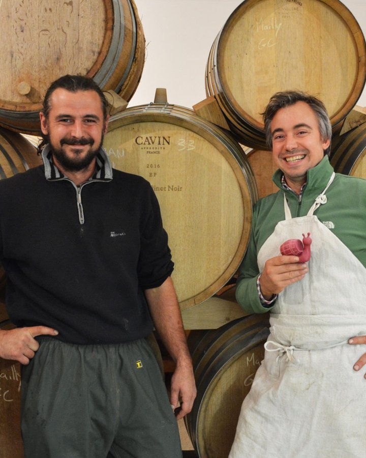 Portrait of Bérêche & Fils, Champagne