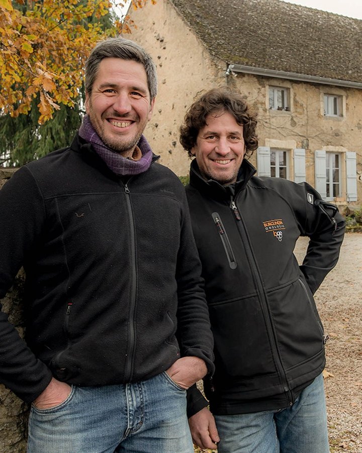 Portrait of Domaine Chevrot, Burgundy
