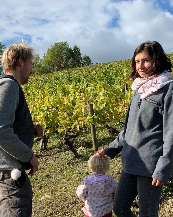 Portrait of Domaine Dandelion, Burgundy