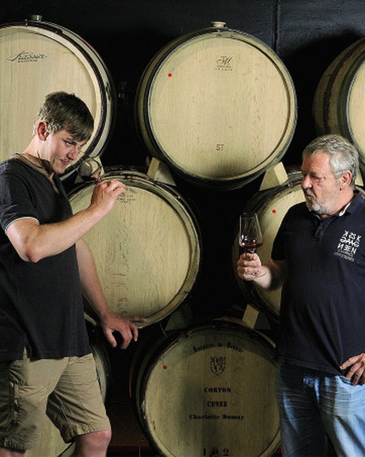 Portrait of Domaine De Vernus, Beaujolais