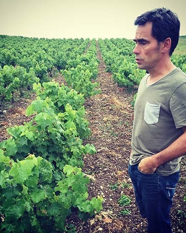 Portrait of Domaine Mirebeau, Loire