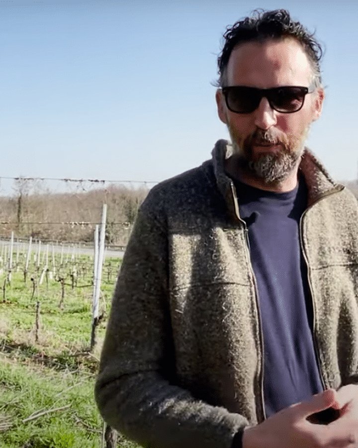 Portrait of Quarticello, Romagna, Emilia-Romagna