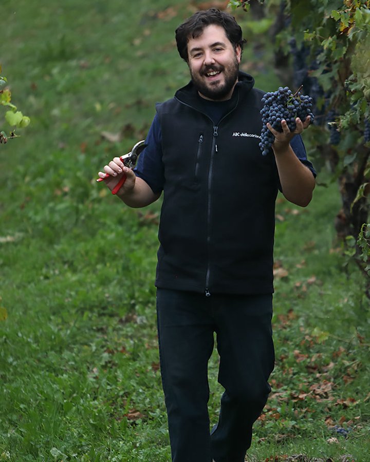 Portrait of Trediberri, Piedmont