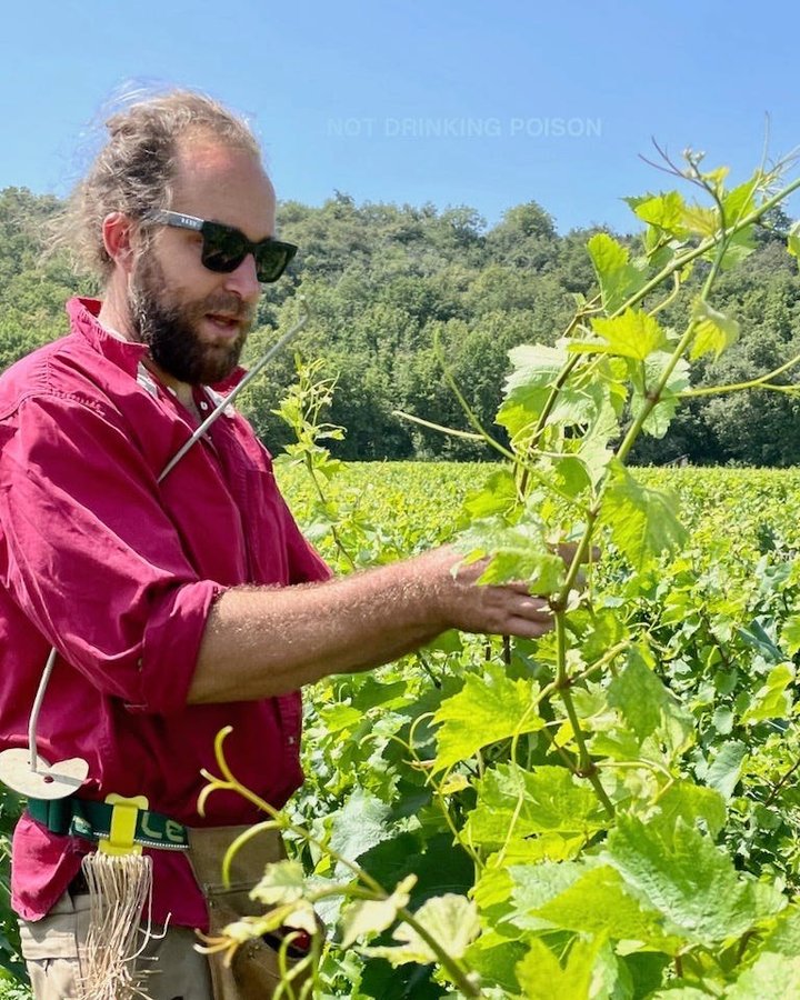 Portrait of Vin Noé, Burgundy