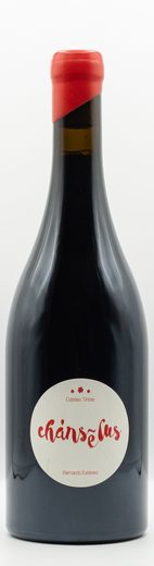 Bernardo Estevez wine — bottle 2