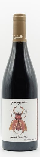 Domaine Antoine Lienhardt wine — bottle 3