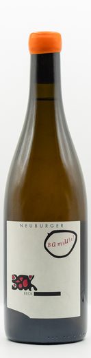 Judith Beck wine — bottle 5