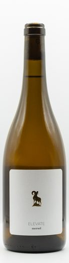 Mersel wine — bottle 5