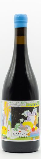 Quinta da Costa do Pinhão wine — bottle 6